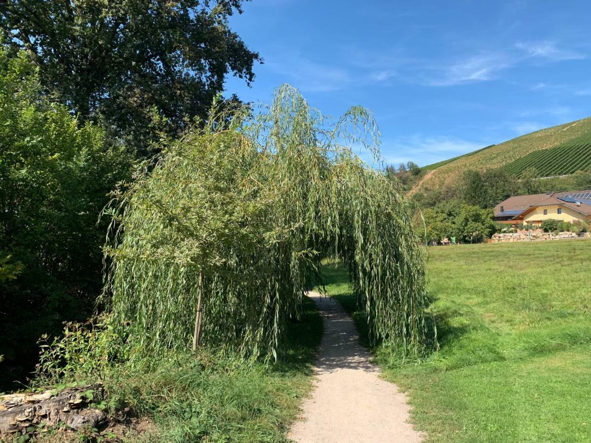 Ferienhaus Laura Renchen Exteriör bild